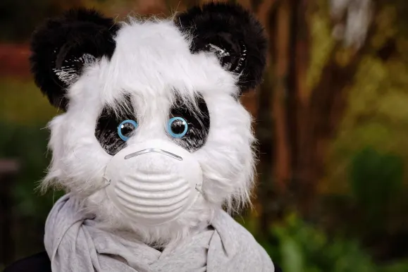 Bitcoza Kaszinó Támogatás